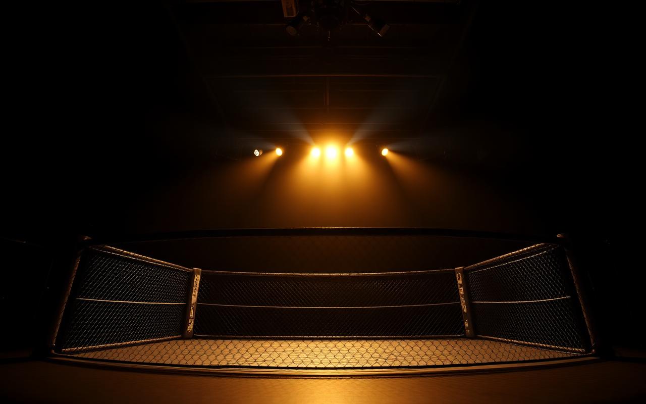 UFC, Boxing & PPV events UFC and boxing PPV fight night streaming live on IGIPTV UK